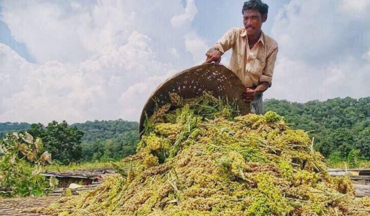 Telangana sees surge in farmer suicides, says Rythu Swarajya Vedika