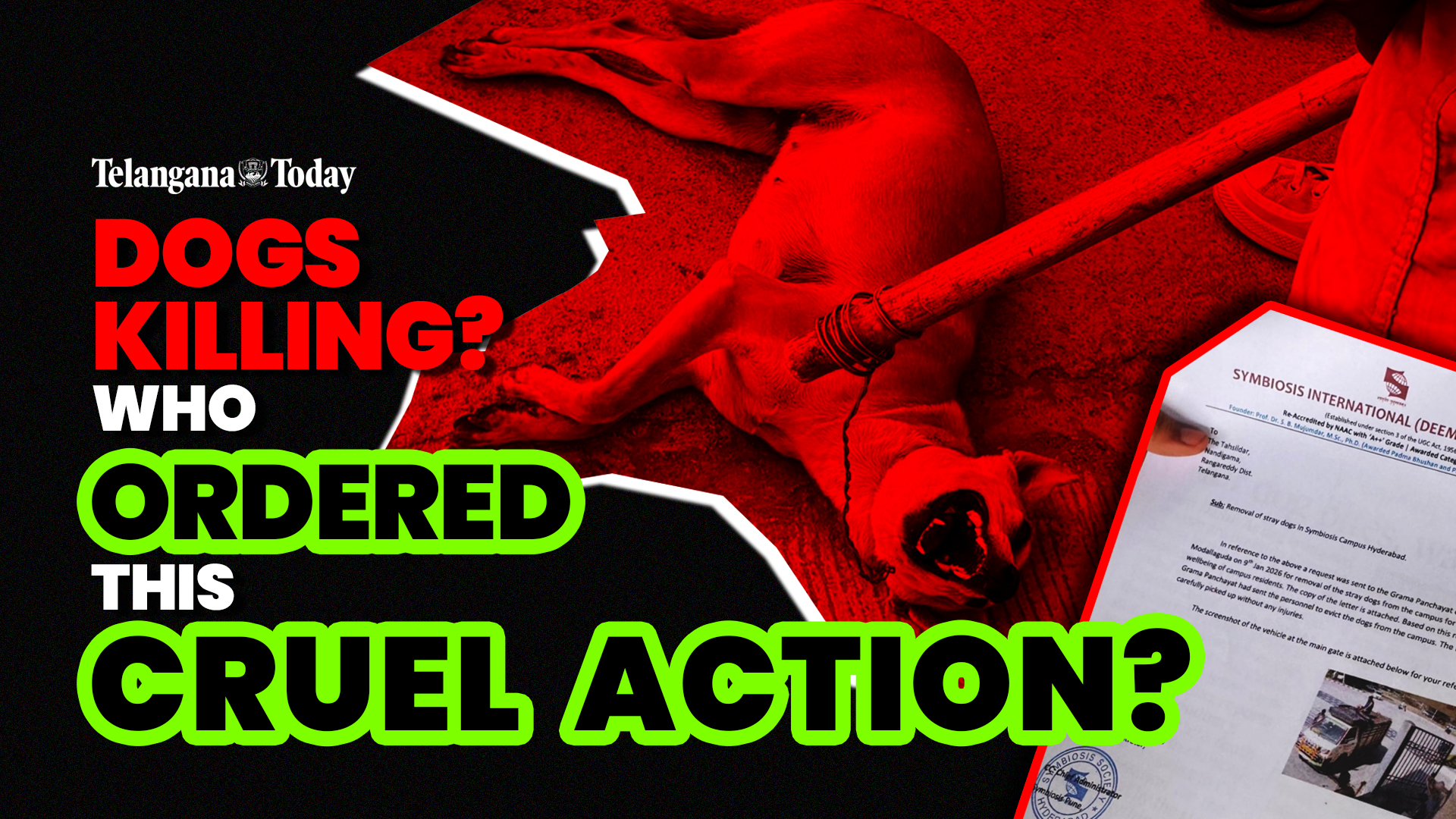 Watch: From Campus to Grave: Telangana’s Shocking Stray Dog Killings