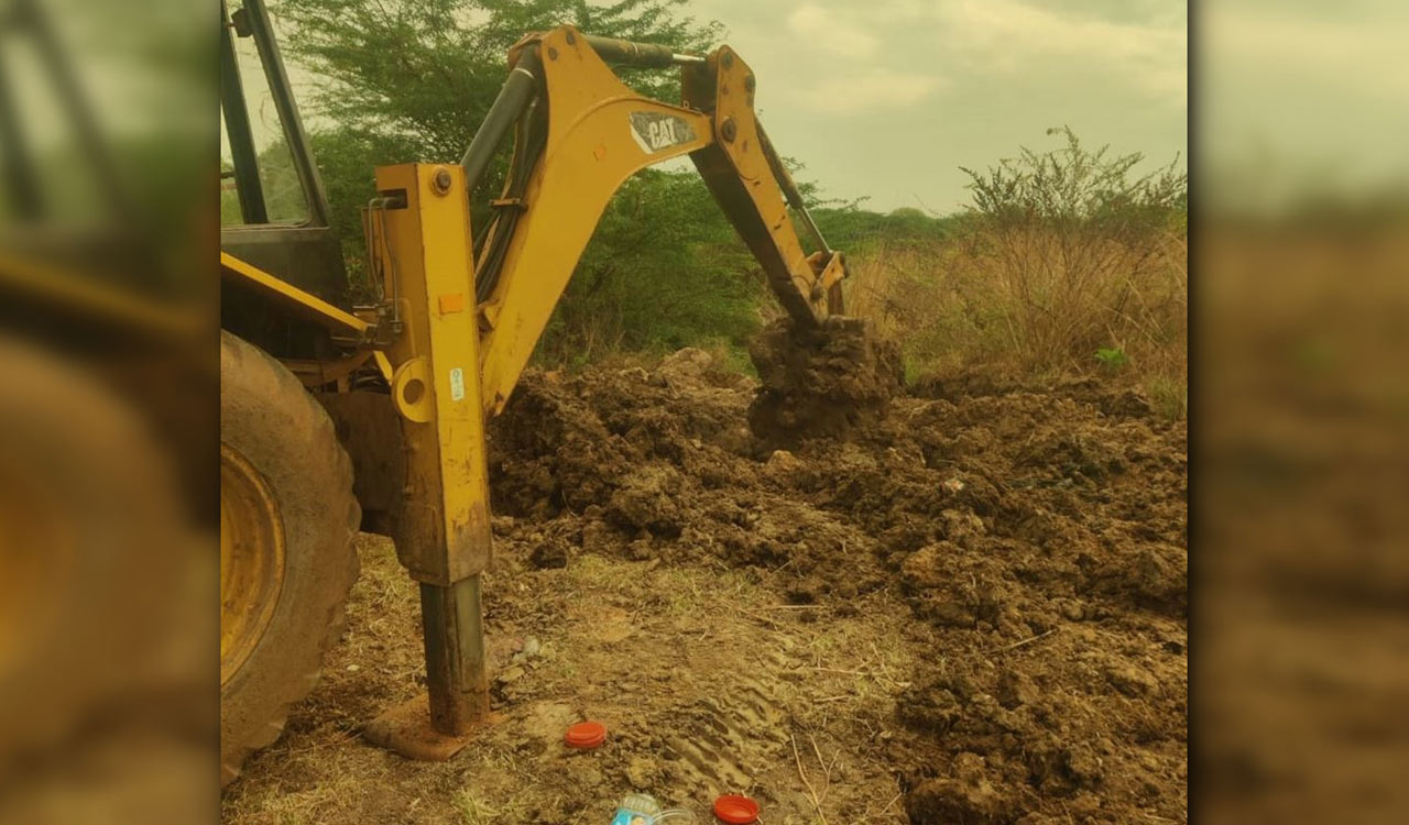 Dog massacre in Telangana as over 500 strays killed after poll promises
