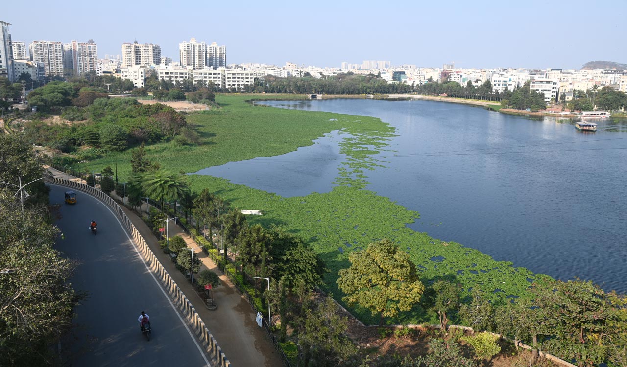 TT Impact: HYDRAA tackles foul smell at Durgam Cheruvu with coordinated response