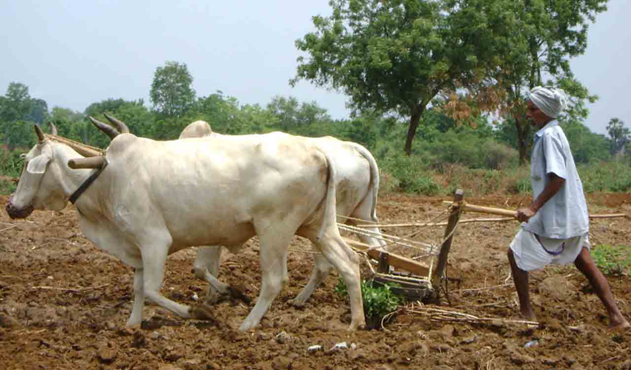 Editorial: Address farmers’ concerns