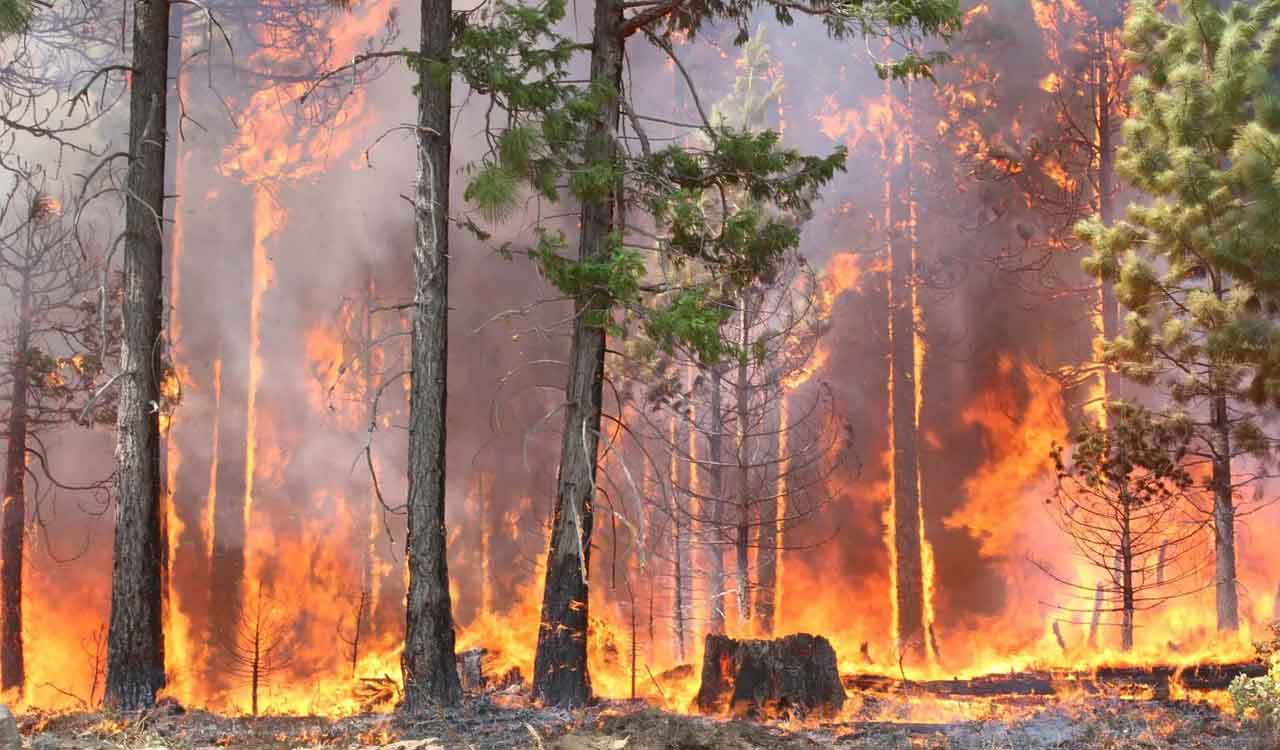Firefighters face attacks, drones and arsonists while battling deadly blazes in Chile