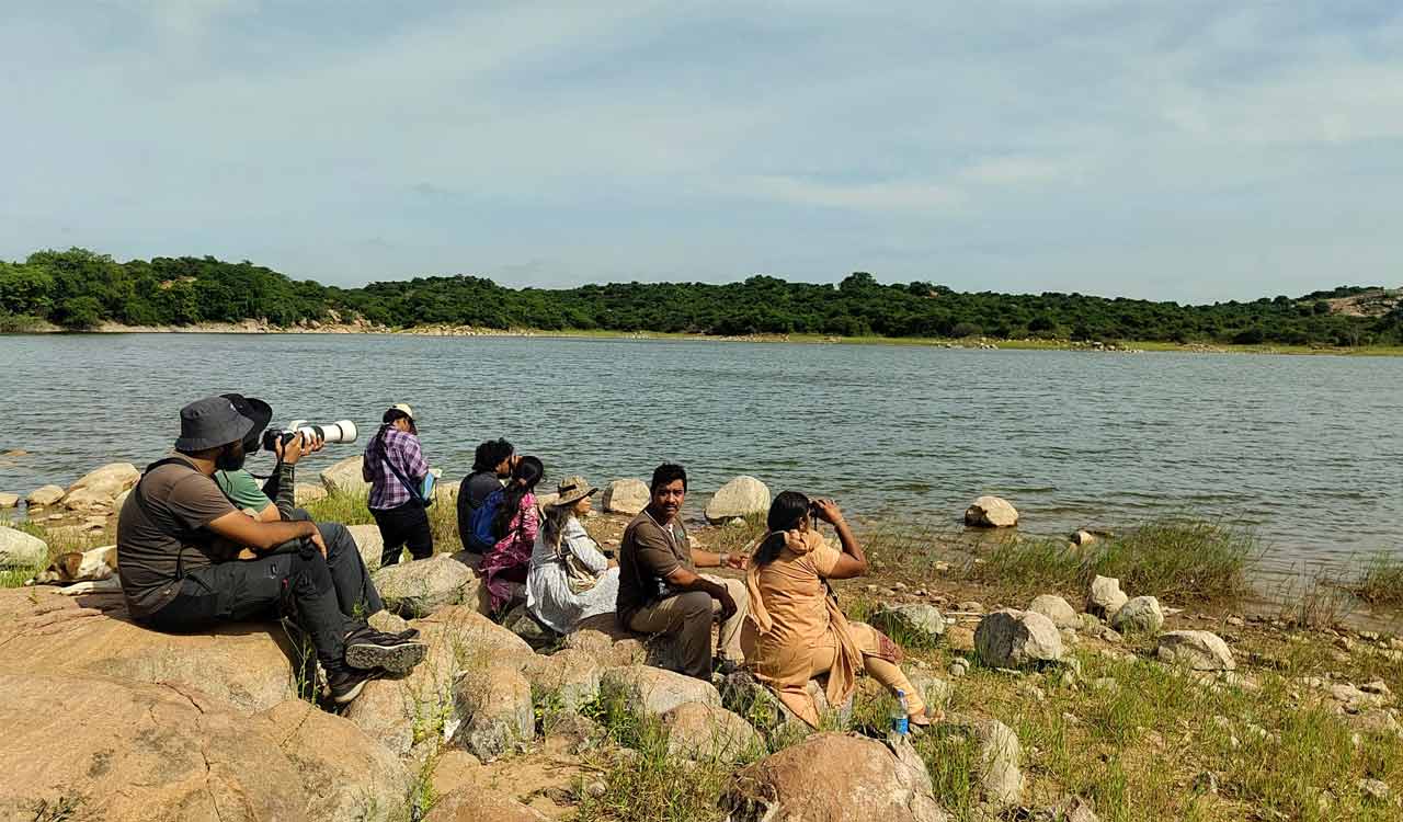 Hyderabad Bird Atlas