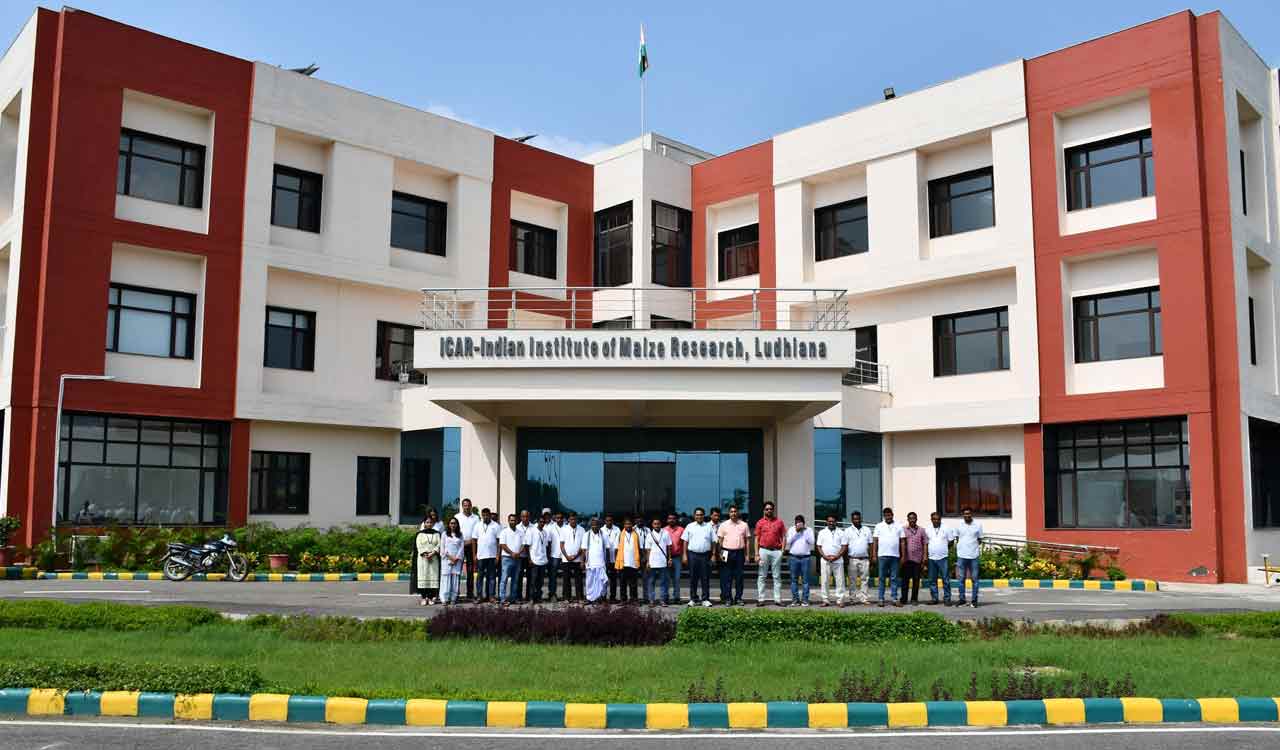 IIMR Ludhiana hosts workshop on Real-Time Data Acquisition for Maize