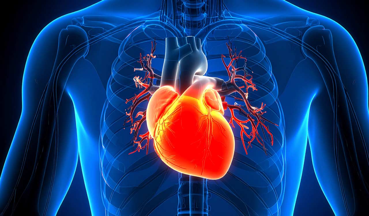 Late-morning heart surgery may raise cardiac death risk: Study