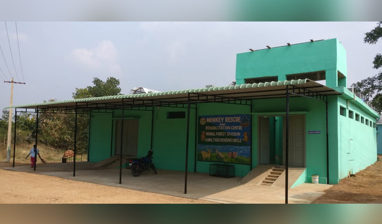 Monkey menace persists as Telangana’s lone rehabilitation centre battles constraints
