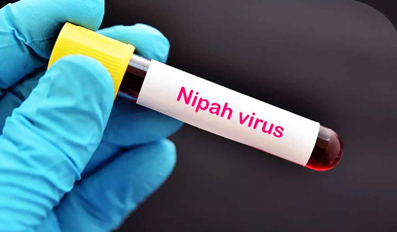 Jharkhand Health dept issues Nipah advisory, directs districts to intensify surveillance