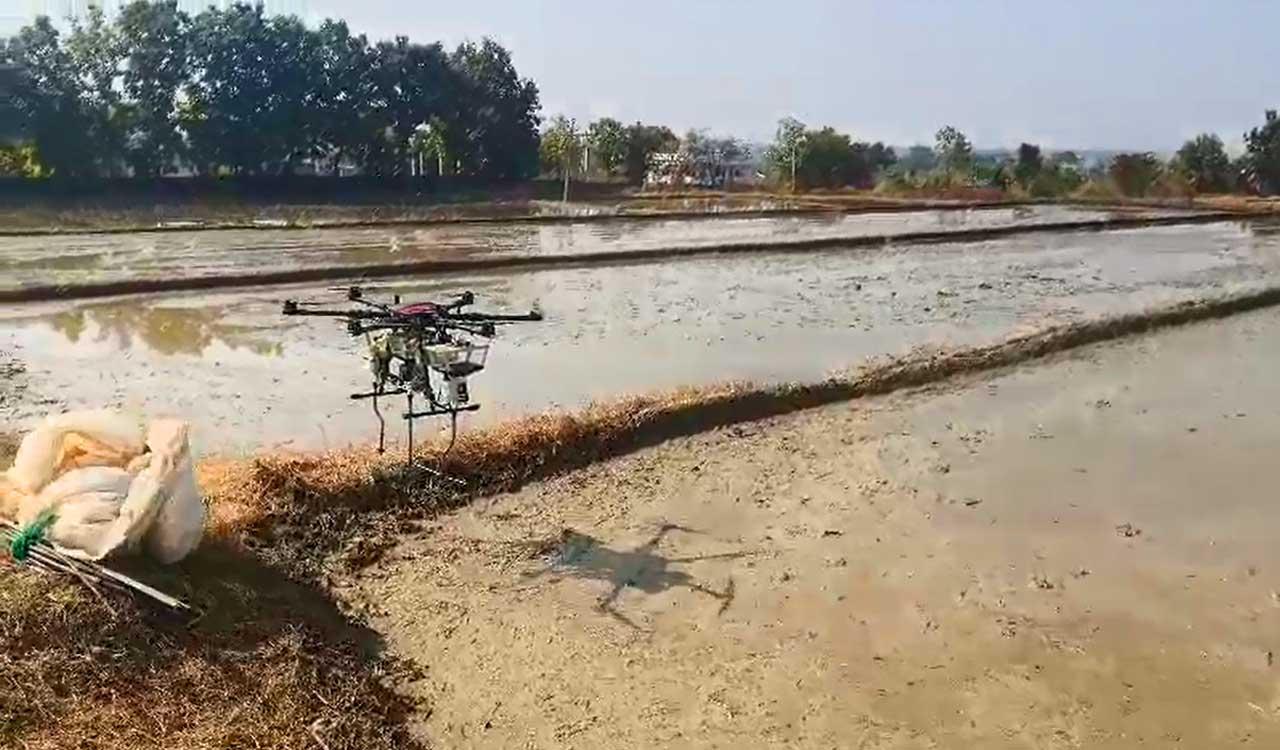Now, drones to sow paddy and ease labour crunch in Telangana