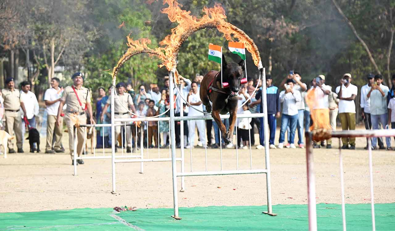 Patriotic fervour sweeps Hyderabad, as people celebrate 77th Republic Day celebrations