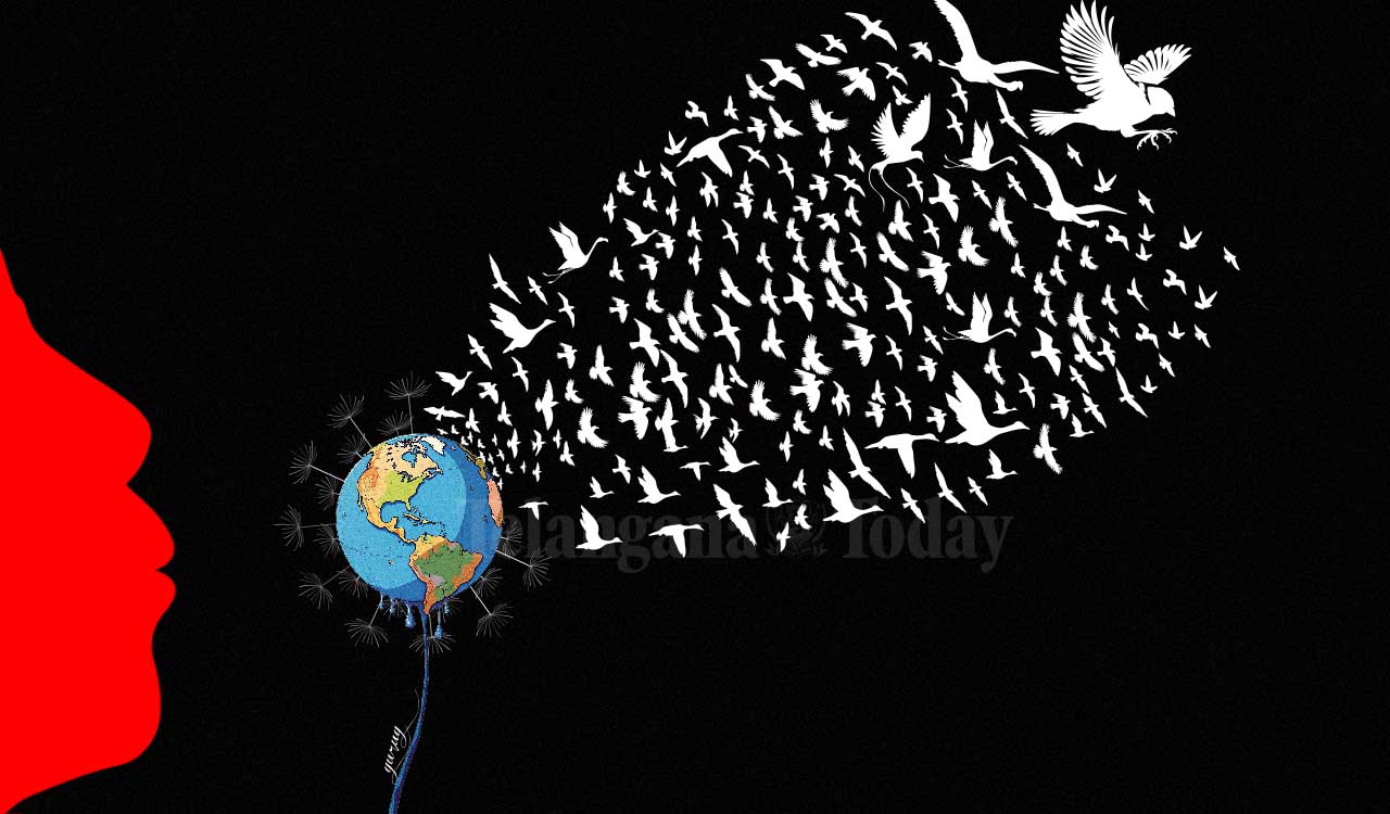 Rewind: Every bird counts — to protect them is to protect Earth