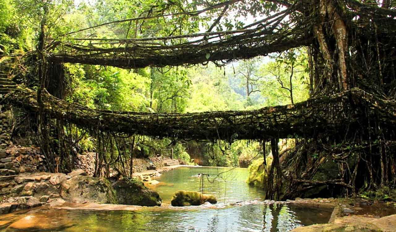 India submits nomination of Meghalaya’s living root bridges for UNESCO World Heritage site