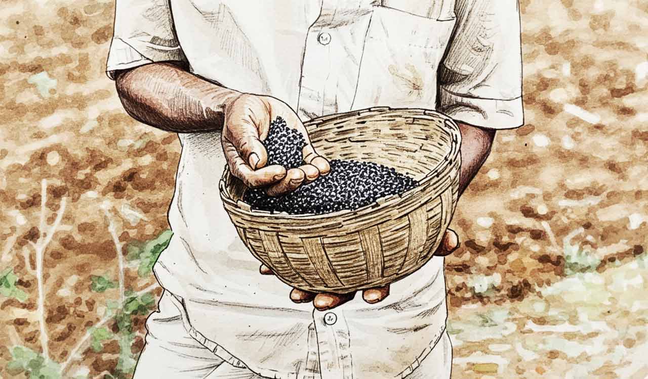 Opinion: Withdraw Seeds Bill 2025, put farmers before corporations