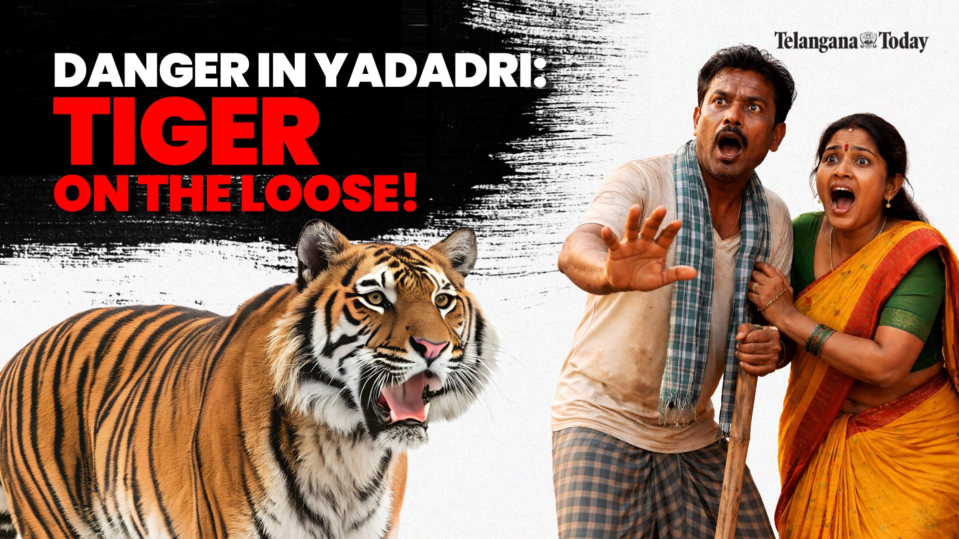 Tiger alert in Yadadri-Bhongir: Multiple cattle attacks, fear spreads across villages | Telangana