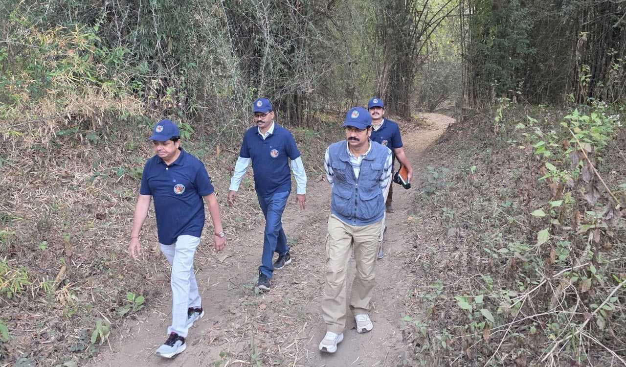 Tiger movement in Telangana: Forest department steps up safety measures