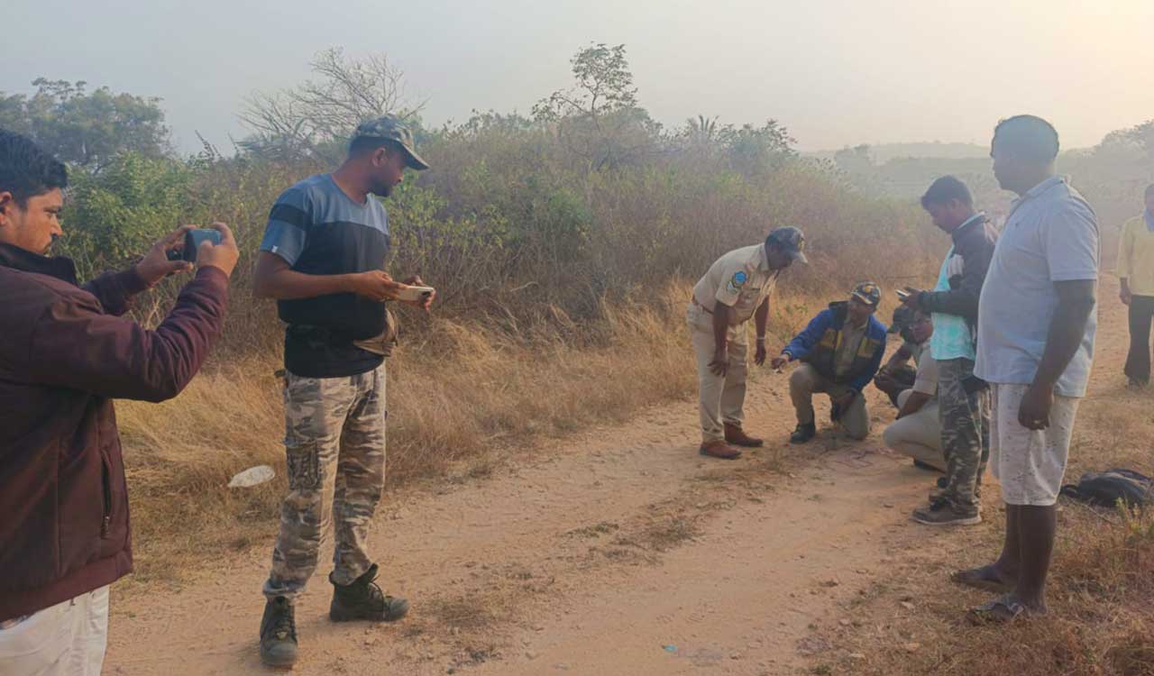 Tiger moves towards Siddipet from Yadadri Bhuvangiri