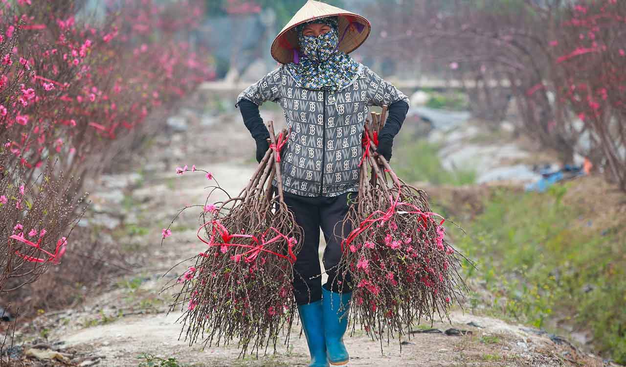 Vietnam and the EU upgrade ties as US tariffs reshape global trade