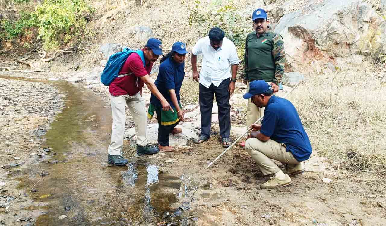 Tiger estimation survey completed in Kondagattu and Kodimial forests