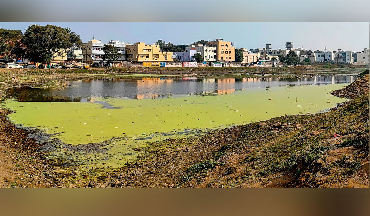 Ramannakunta Lake in Secunderabad plagued by algae, neglect and encroachments