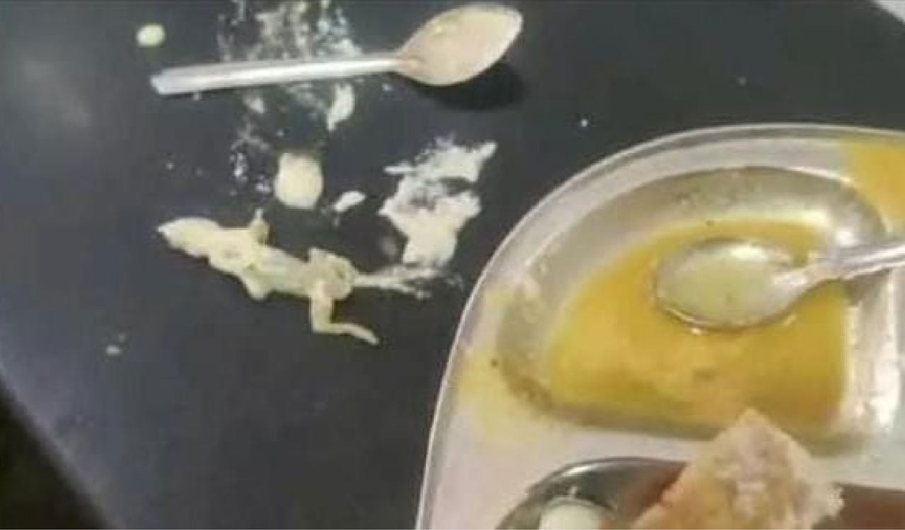 Eight hospitalised after dead lizard found in chutney at Jagtial eatery