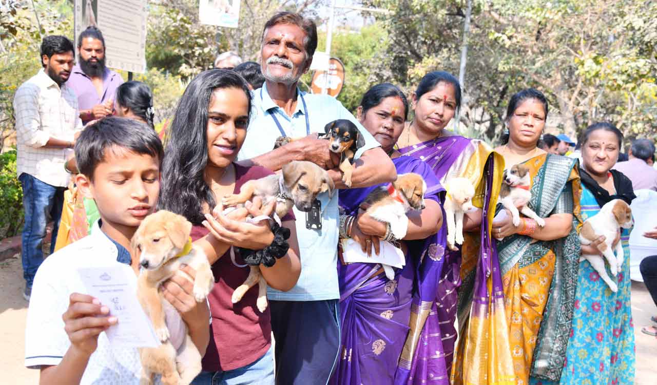 GHMC organises Indie puppy adoption drive at KBR Park; 30 find homes