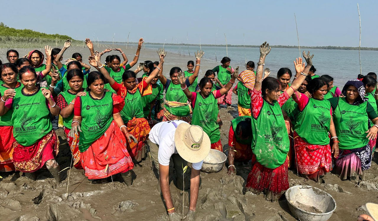 Video: Green tribute to KCR: 10,000 mangrove saplings planted in Sundarbans on his birthday