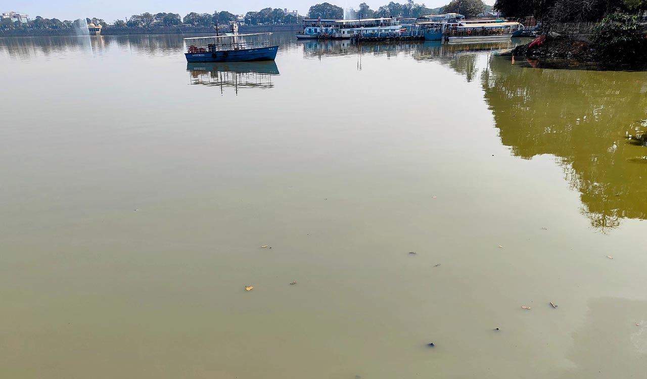 Hussain Sagar water turns yellowish, foul smell worries residents