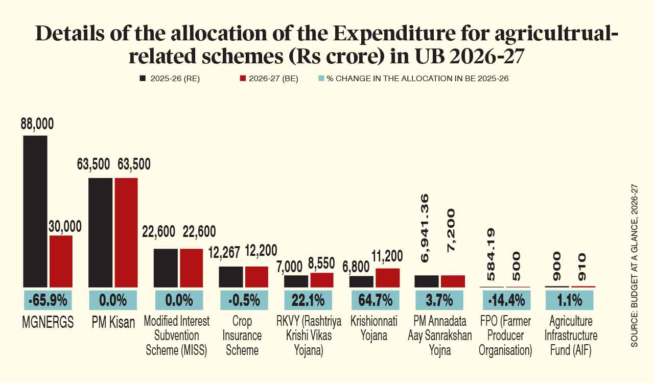 Opinion: Union Budget 2026-27 — high hopes, lean support for agriculture