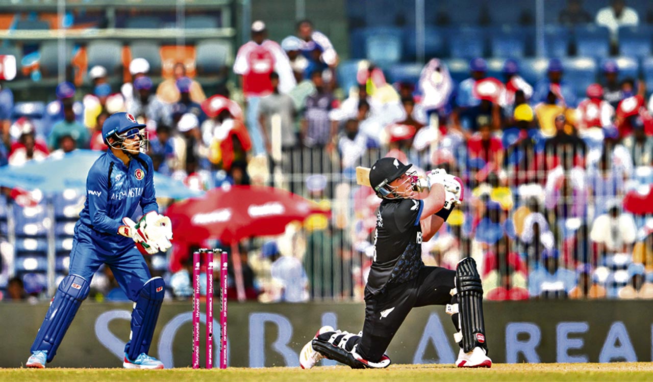 Seifert fifty powers New Zealand past Afghanistan in T20 World Cup