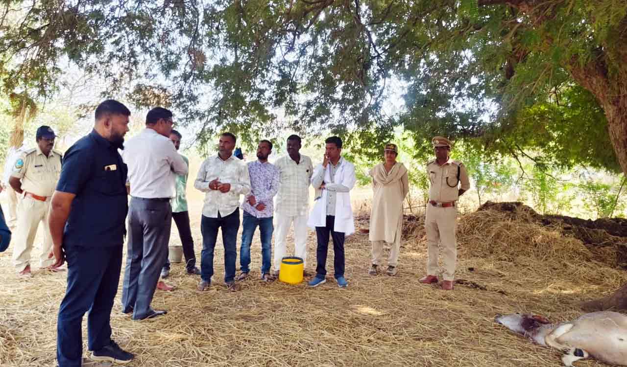Tiger attack in Yadadri: Residents warned not to step out after 5 pm