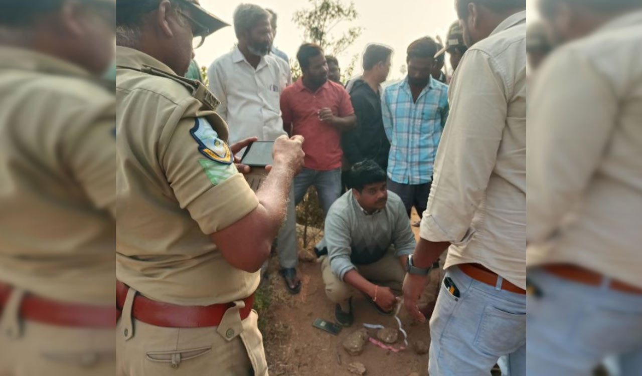 Forest officials deploy drones, traps as tiger kills fourth cattle in Turkapally