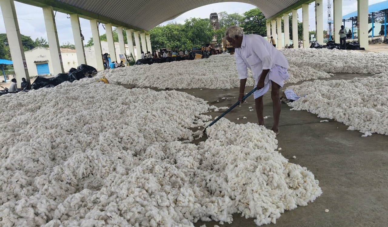 Farmer organizations seek deadline extension for cotton procurement till March 31