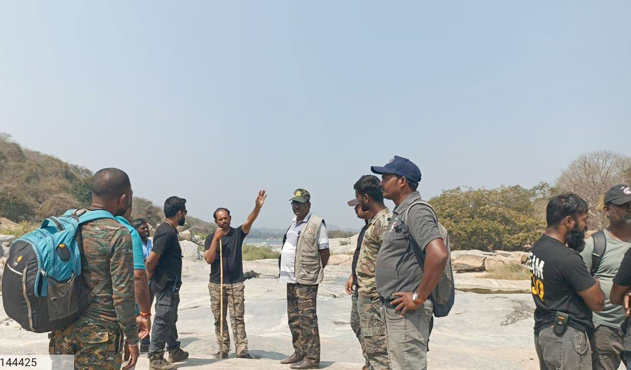 Forest officials track tiger in Koheda, no new attacks reported