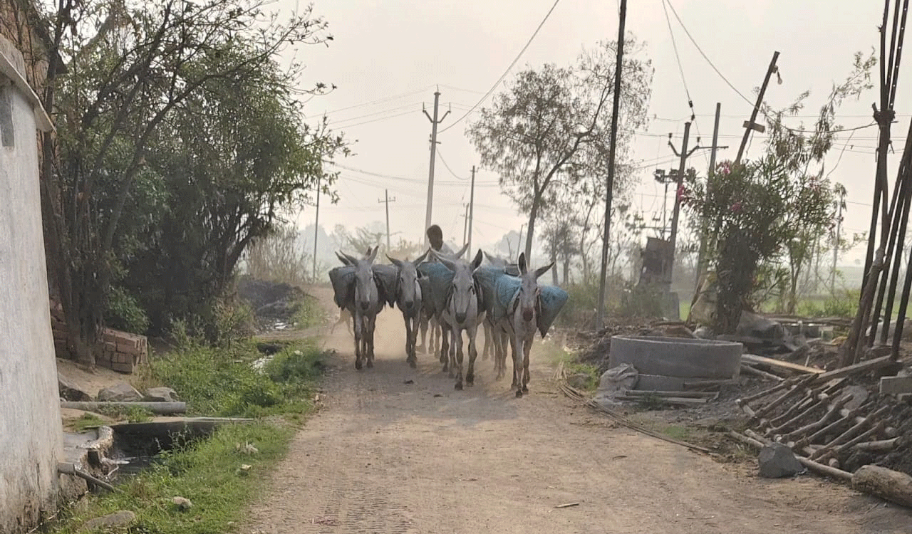 Sand smugglers use donkeys for illegal mining in Medak
