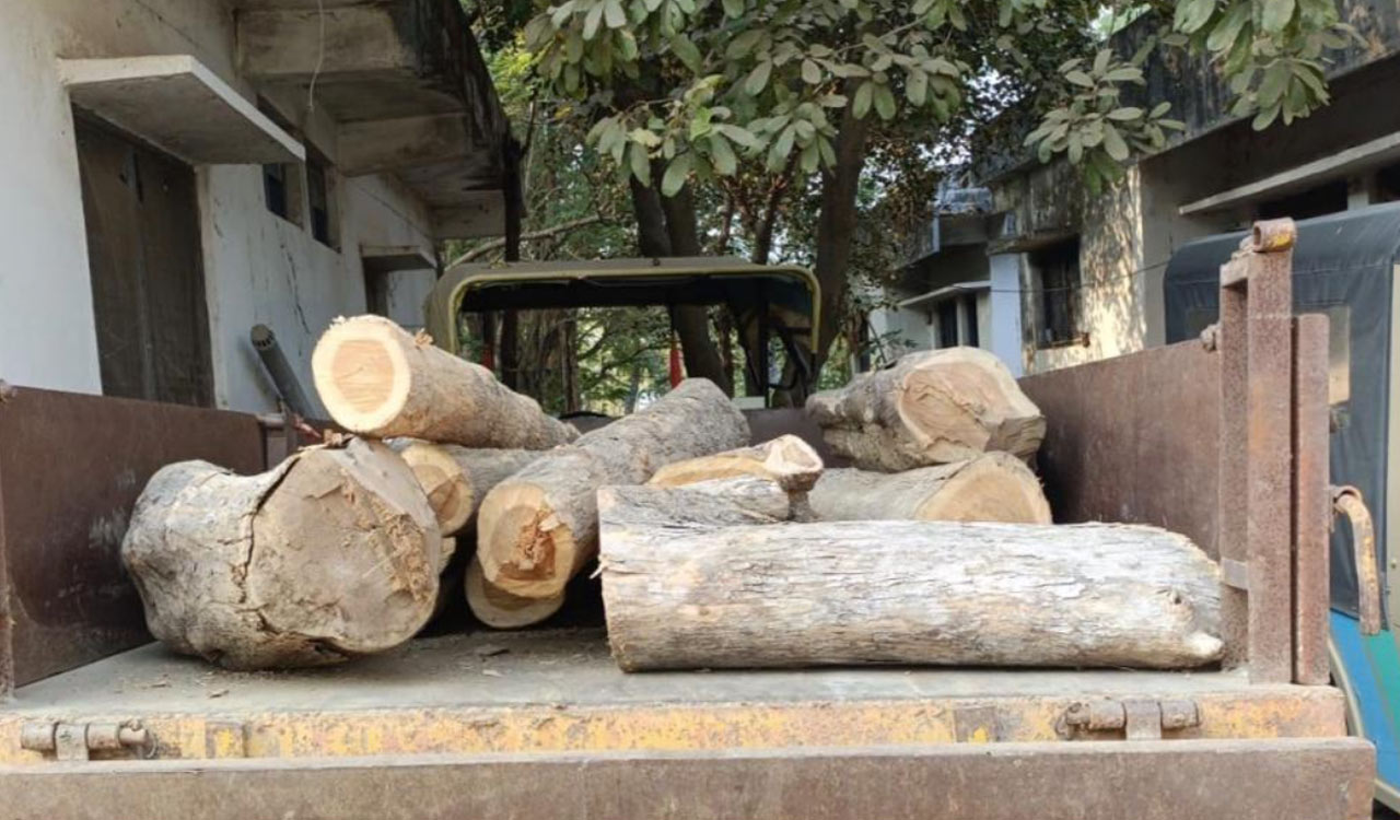 Forest official booked for teak timber smuggling in Kumram Bheem Asifabad