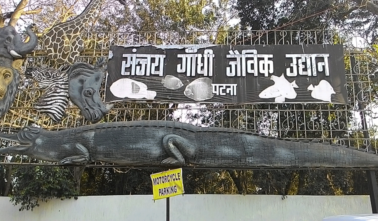Patna Zoo closed till March 7 after bird flu detection nearby