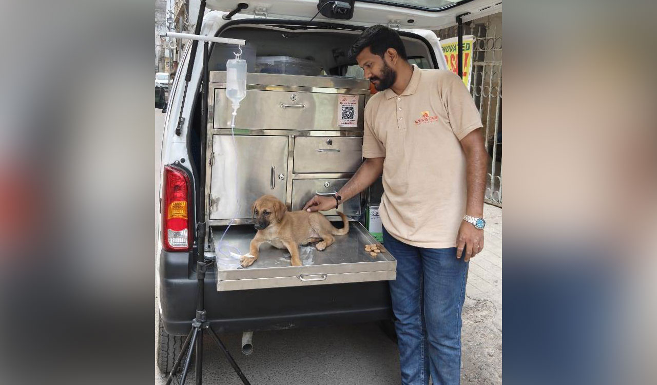 Arham Animal Ambulance: Hyderabad’s lifeline for injured and abandoned animals