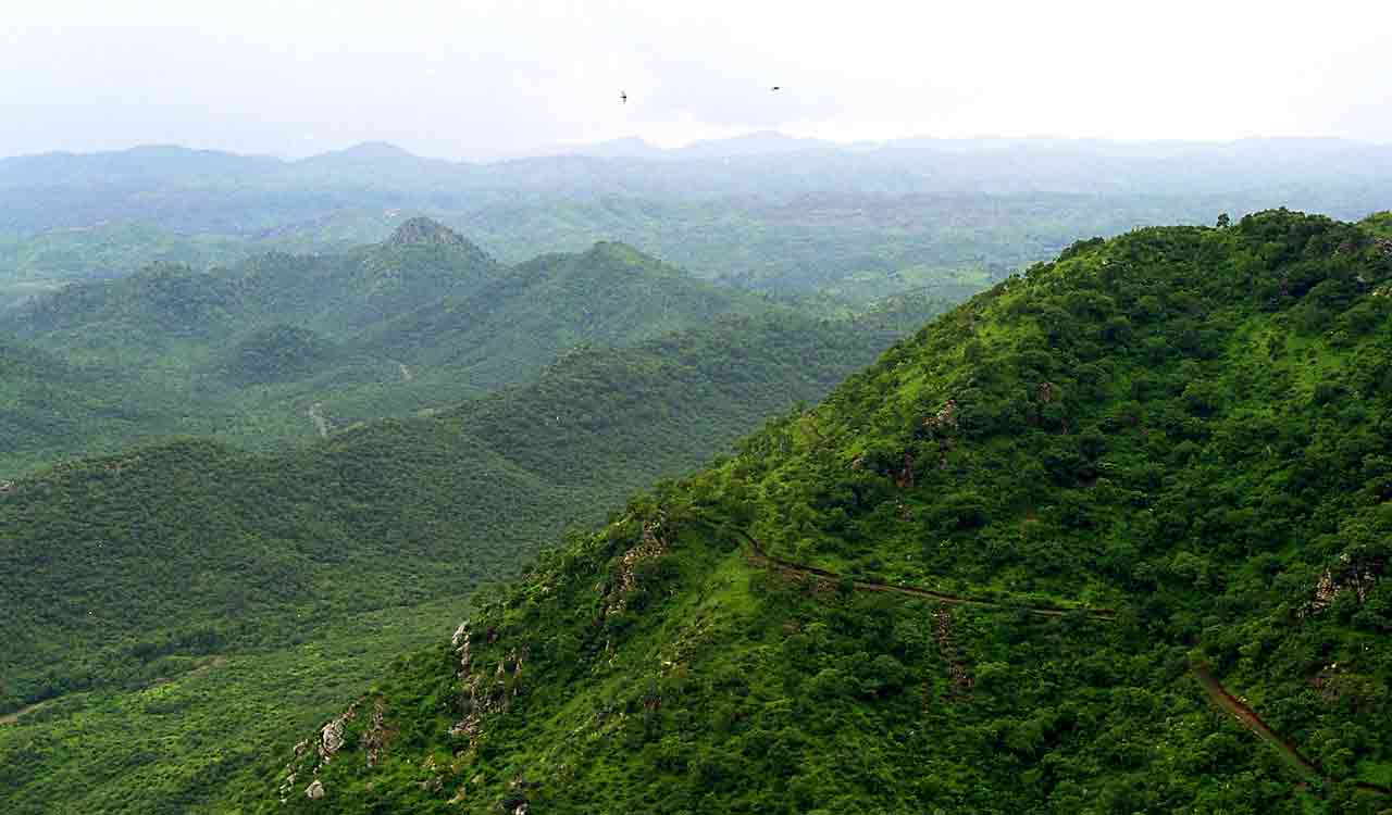 Environment ministry endorses names of 10-member expert committee set up to define Aravalli hills