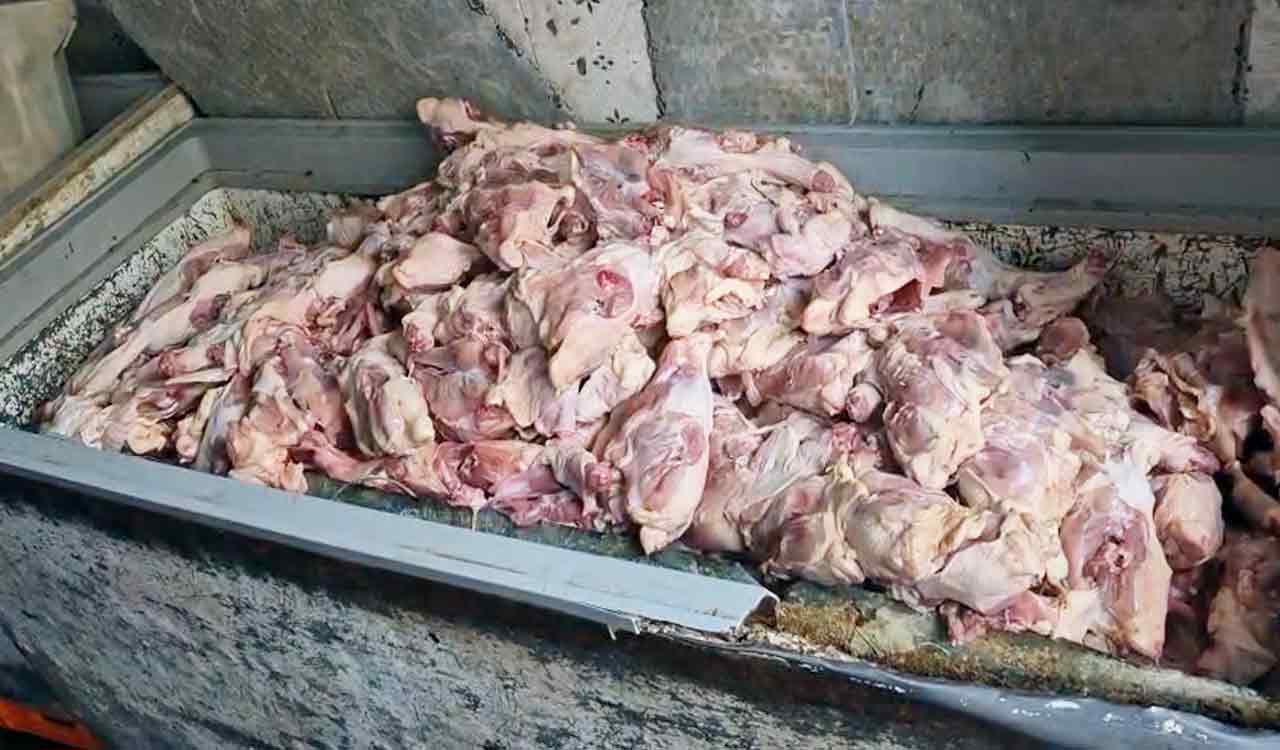 GHMC raid in Parsigutta: 800 kg stale chicken seized from shop