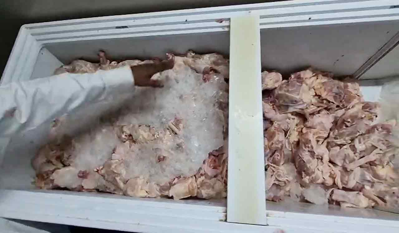 GHMC raid in Parsigutta: 800 kg stale chicken seized from shop