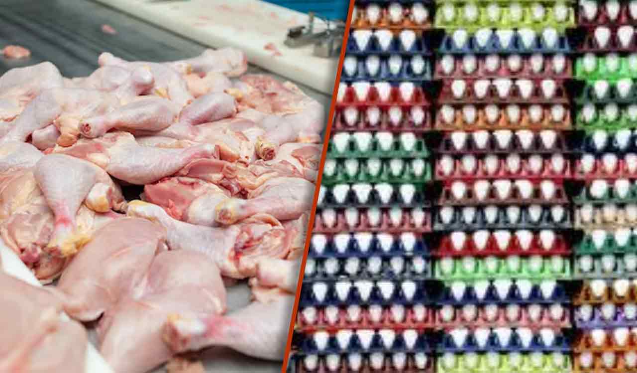 Egg prices crash, chicken rates soar in Telangana amid West Asia crisis