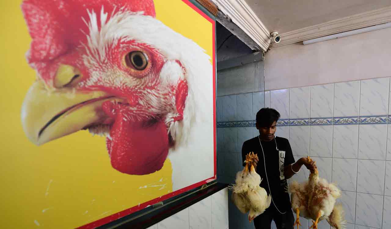 Telangana chicken shops to begin indefinite strike from Apr 1