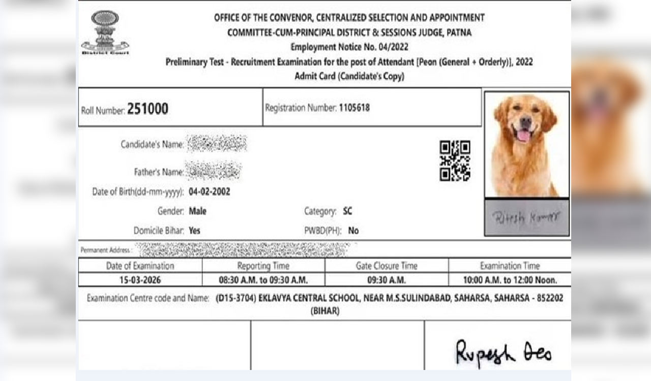 Bihar court recruitment blunder: Dog’s photo on admit card stuns candidate
