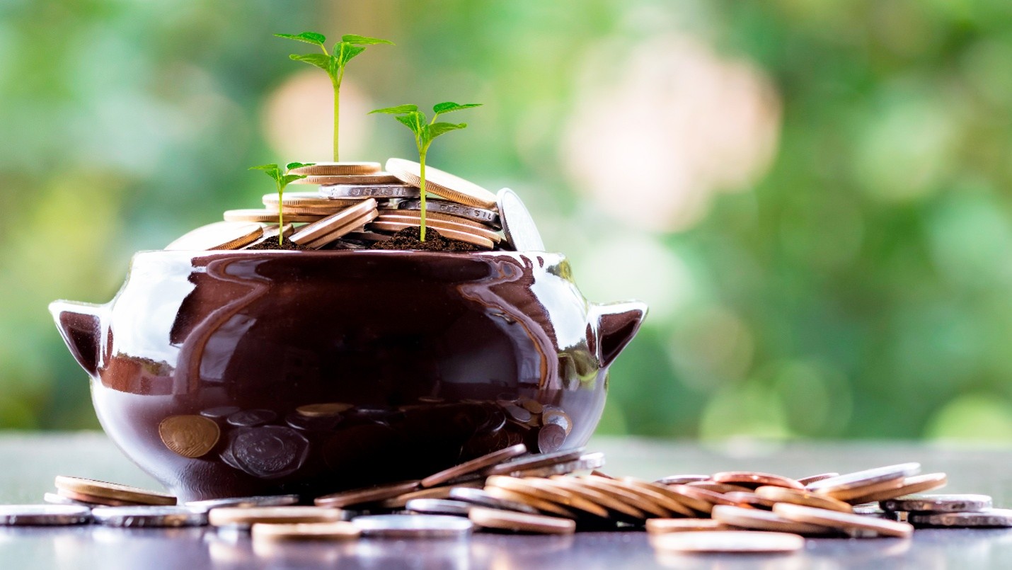 How to Use FD Laddering to Balance Liquidity and Returns