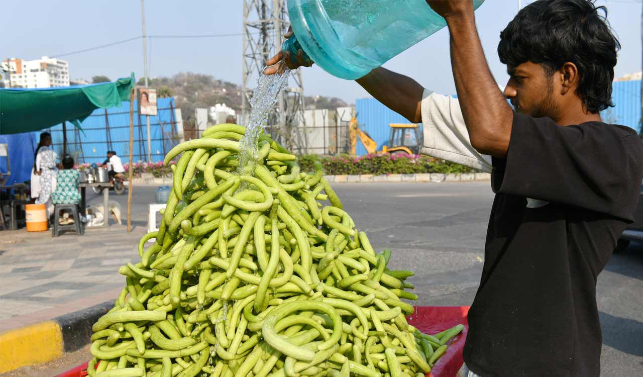 Hyderabadis turn to home remedies to battle rising heat