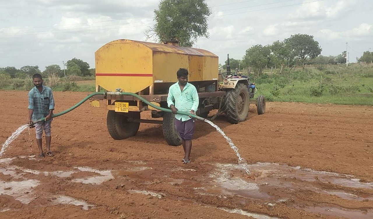 Jowar farmers in erstwhile Nizamabad up in arms over lack of remunerative price
