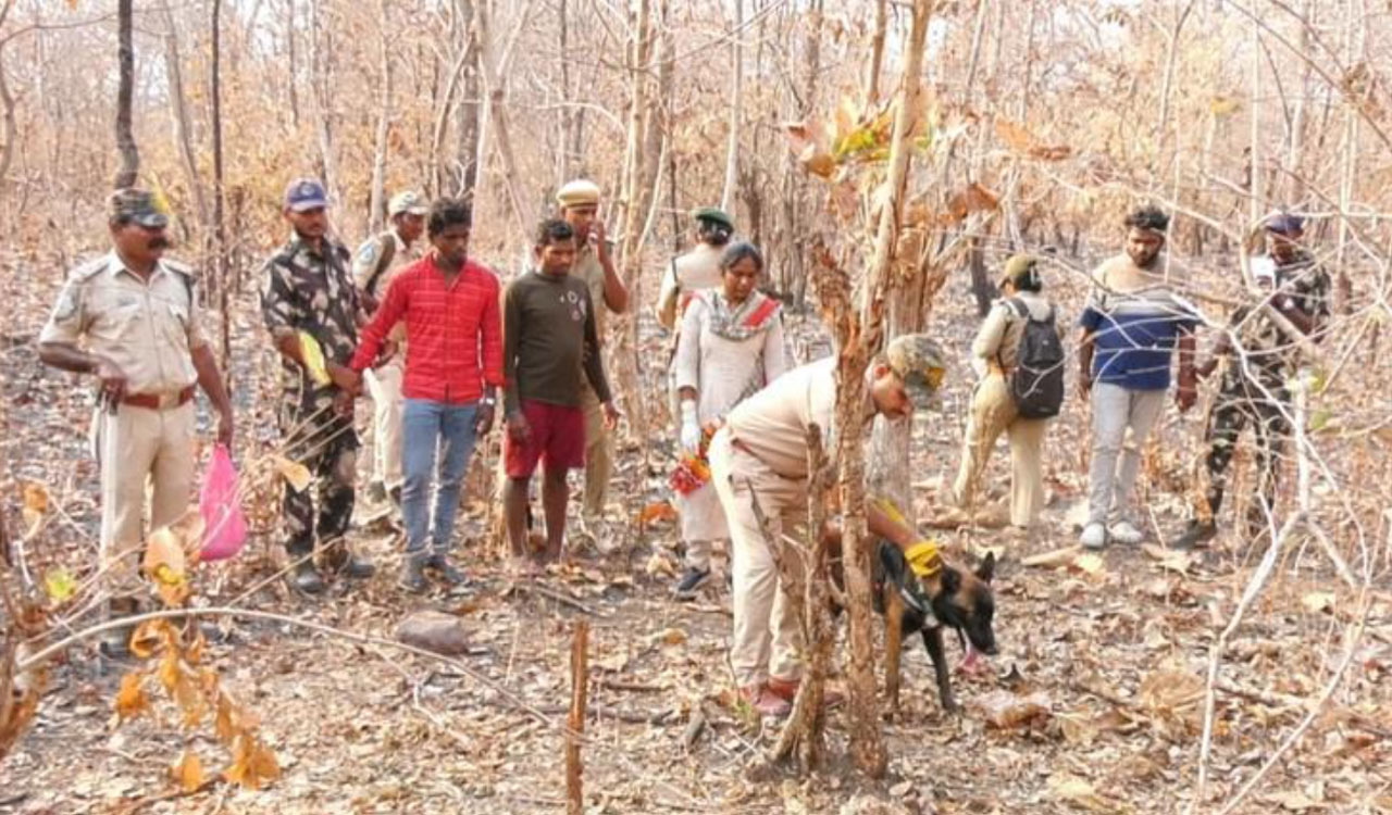 Mancherial poaching case: Officials confirm killing of leopard by teak smugglers