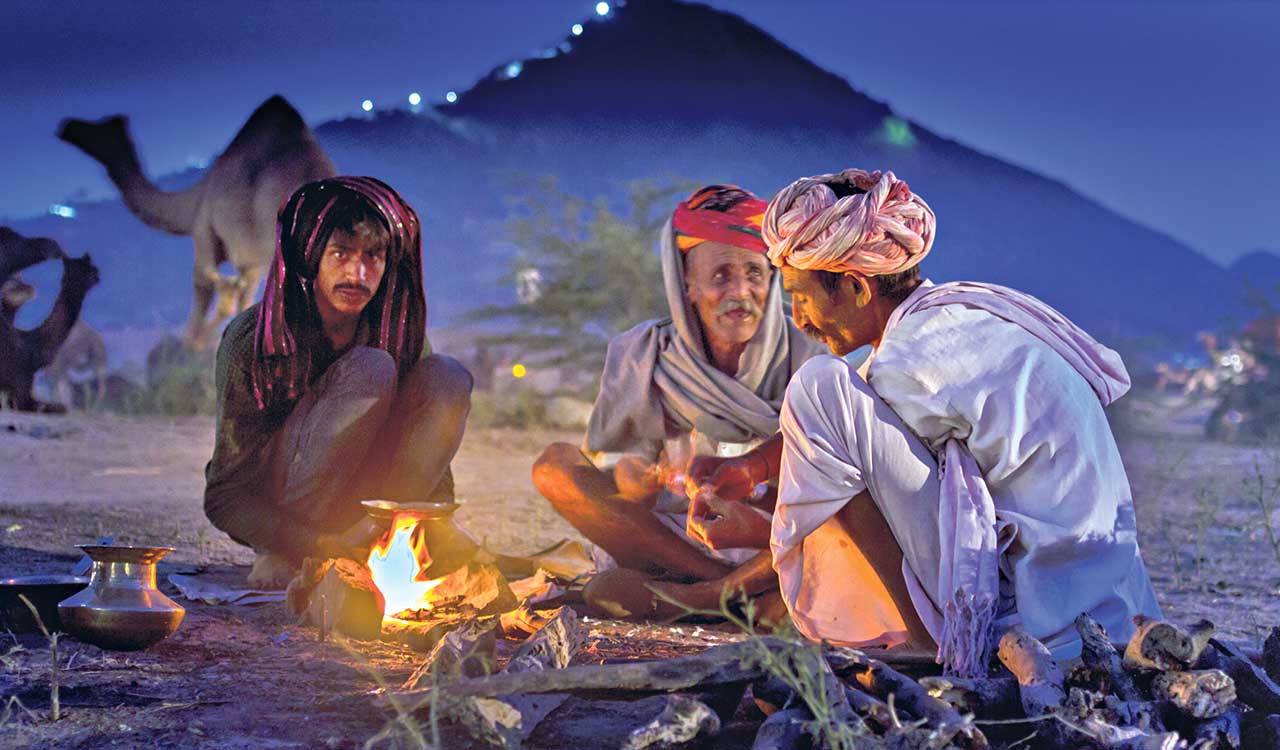 Opinion: Beyond misclassification: Recognising dignity, opportunity for DNTs