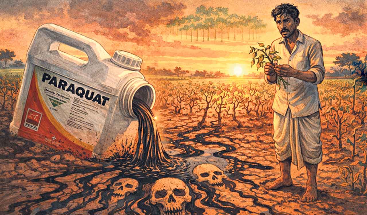 Opinion: Time to ban paraquat — the poison without an antidote