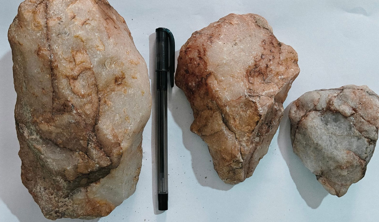 Lower Paleolithic stone tools discovered near Hyderabad’s Manchirevula forest track