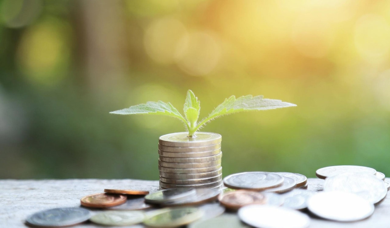 Why Term Insurance is the Most Important Financial Product for Young Families